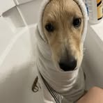 Profile Picture of Maria Garrett (@maria.garrett.377891) on Facebook