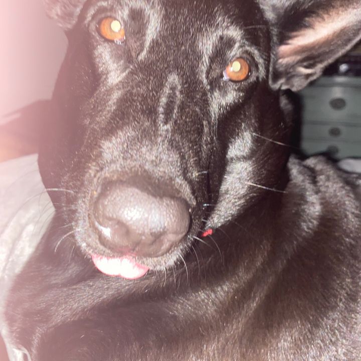 Profile Picture of Jesse Odom (@@jesseodom0) on Tiktok