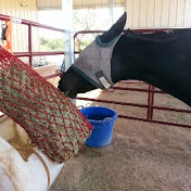 Profile Picture of Pamela Bailey (@pamelabailey7556) on Youtube