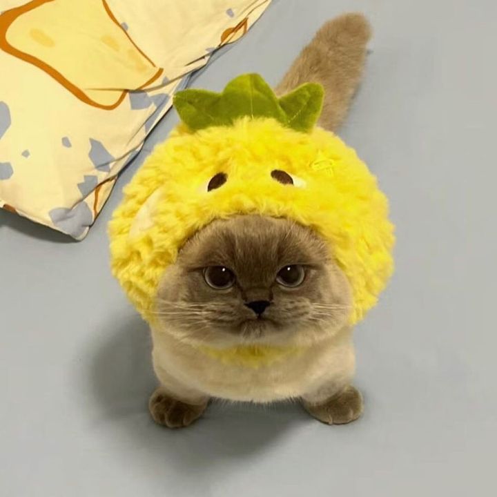 Profile Picture of luis Olivar (@luisolivares5956) on Tiktok