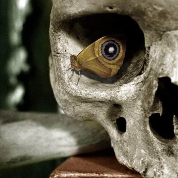 Profile Picture of Adam Sedlaczek (@sedlaczekadam) on Poshmark