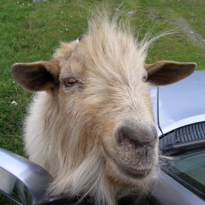 Profile Picture of Rudenko (@anton792431801) on Twitter