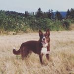 Profile Picture of Blake Glahe (@blake_allen_g) on Instagram