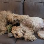 Profile Picture of Dave Farr (@dave.farr.102) on Facebook