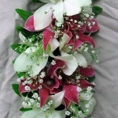 Profile Picture of Pam Owen (@Pamowen6909Owen) on Twitter