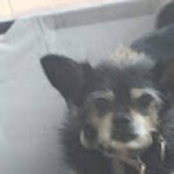 Quinn Holden - Poshmark Profile Picture of Quinn Holden (@quinnholden) on Poshmark