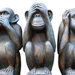 Profile Picture of Sead Hodzic (@hodzicsead68) on Instagram