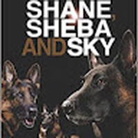 Profile Picture of Paul Viner (@paul-viner-4) on Quora