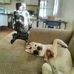 Profile Picture of Brent Lindquist (@brent.lindquist.75) on Facebook