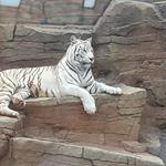 Profile Picture of Tyler Binder (@tyler.binder.7330) on Instagram