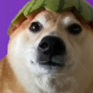 Profile Picture of Pablo Escobar.exe (@LukaChristians5) on Twitter