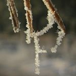 CAINION - Instagram Profile Picture of CAINION (@cainiontooley42k) on Instagram