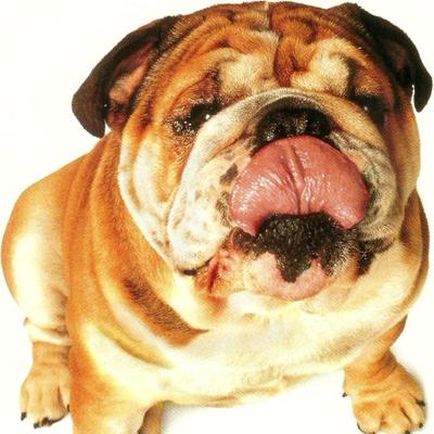 Profile Picture of Roger Hutchins (@hutchins8191) on Twitter