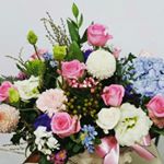 Profile Picture of kim dong uk (@kim_petros) on Instagram