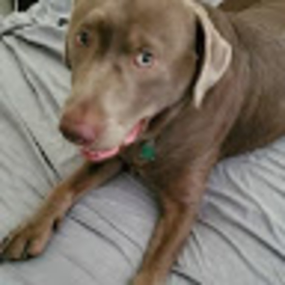 Profile Picture of Jerry Shackles (@jdshackles69) on Poshmark