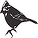 Profile Picture of Samantha Cooper (@samantha jean designs) on Flickr