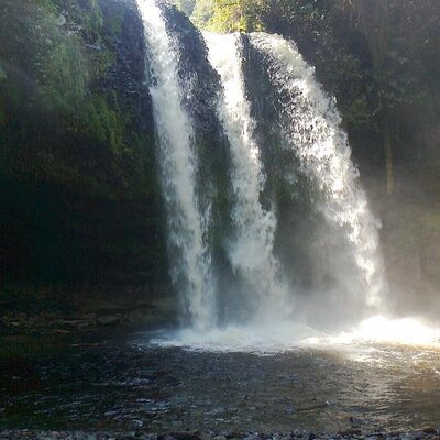 Profile Picture of James Gallardo (@jamesgallardo5) on Twitter