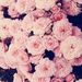 Profile Picture of Isela Lara (@iselalara750) on Pinterest