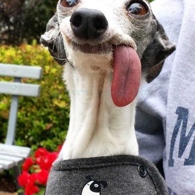 Profile Picture of Travis Hendrickson (@TravisH09779461) on Twitter