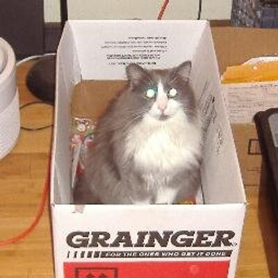 Profile Picture of Ron Abate (@ronabate2) on Twitter