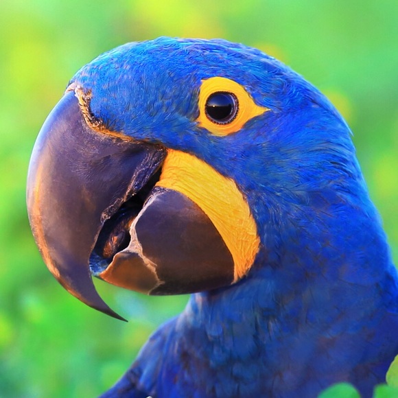 Profile Picture of Andrea Savrda (@kindnissmatterz) on Poshmark