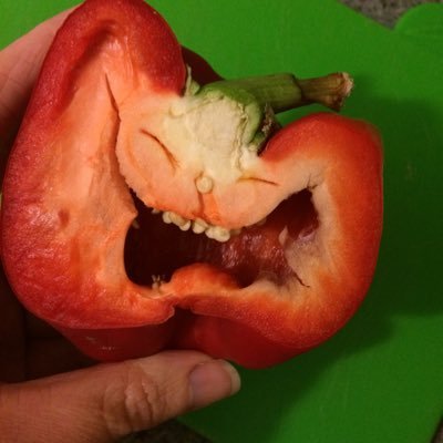 Profile Picture of ClareBear (@ClareSavage) on Twitter