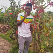 Profile Picture of Joseph Gibson (@josephgibson8392) on Youtube