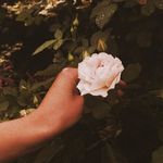 Profile Picture of Racquel James and Amy Loewen (@fadedrose.vintage) on Instagram