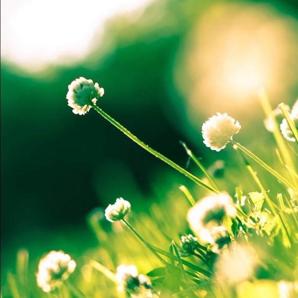 Profile Picture of Yifei Liu (@ricoyukimura) on Poshmark