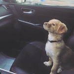 Profile Picture of Dexter Maxwell (@dext_dext) on Instagram