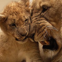 Profile Picture of Bruce Gibson (@bruce-gibson-50) on Quora