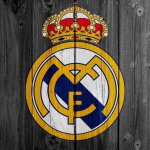 Profile Picture of Guy (@guy_seifert) on Instagram