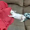 Profile Picture of Gena Thomas (@gena.thomas35) on Tiktok