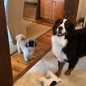 Profile Picture of Danny Benson _ (@dannybenson_684) on Youtube