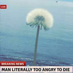 Profile Picture of Micheal Tatum (@michealtatum) on Tiktok