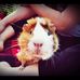 Profile Picture of Julian Danowski (@julian.danowski.3) on Facebook