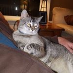 Profile Picture of Scott Mattoon (@scott.mattoon.7) on Instagram