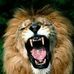 Profile Picture of Giuseppe Berardelli (@giuseppe.beradelli) on Facebook
