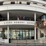 Profile Picture of Robert_Schurat (@lycee.robert_schurat) on Instagram