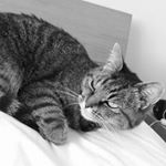 Profile Picture of Lucille Marchand (@luluce76) on Instagram