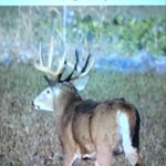 Profile Picture of George Atkinson (@redtrail123) on Instagram