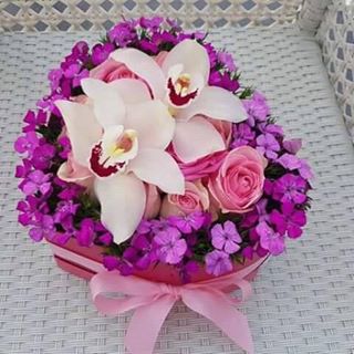 Profile Picture of Farah Toudert (@farah.toudert) on Facebook
