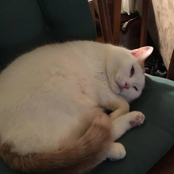 Profile Picture of Mckayla Sakeru (@mckaylasakeru) on Poshmark