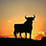 Profile Picture of Jorge G. Suarez-turnbull (@ironbull262) on Flickr