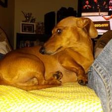 Profile Picture of Jeremy Jutras (@JutrasJeremy) on Twitter