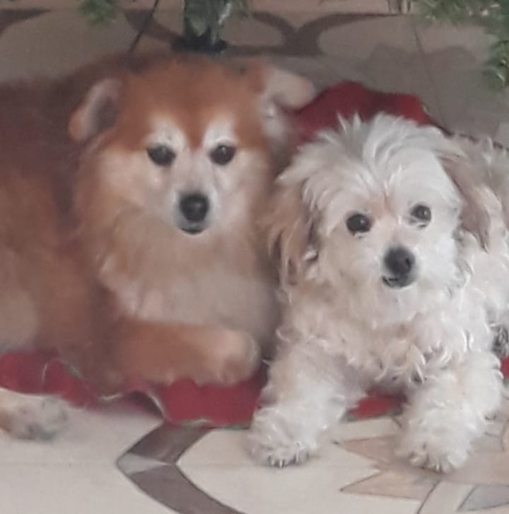 Profile Picture of Emelia Emelina (@aemelia42) on Poshmark