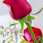 Profile Picture of Hamilton Hudson (@hamiltonhudson9222) on Youtube