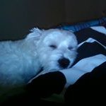 Profile Picture of Heidi Ziegler (@heidizrealestate) on Instagram