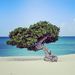 Profile Picture of Robin Kulp (@rlkulp) on Pinterest