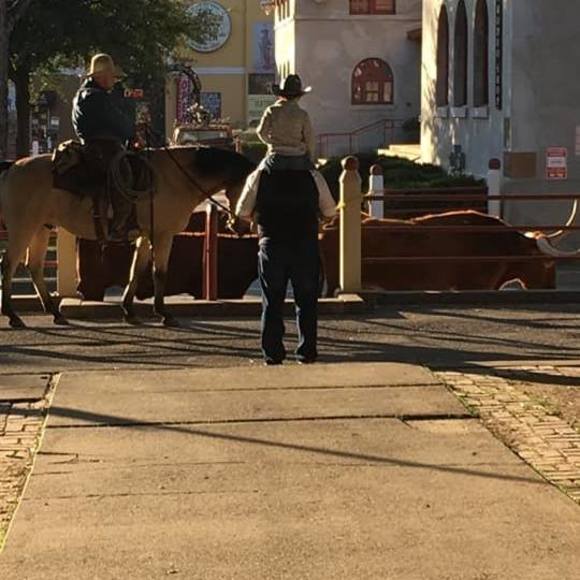 Profile Picture of Deanne Burdick-acome (@racome3) on Poshmark